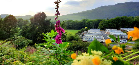 Laggan House Country Park