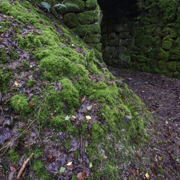 St Austell, Cornwall, South West England, UK