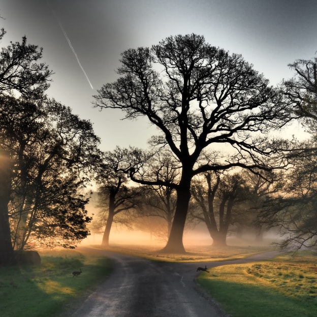 Berkshire, South East England, UK