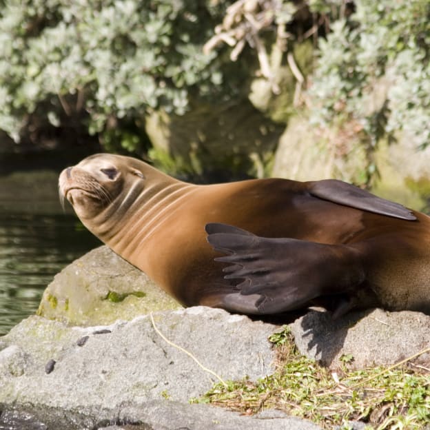 Edinburgh, Eastern Scotland, UK