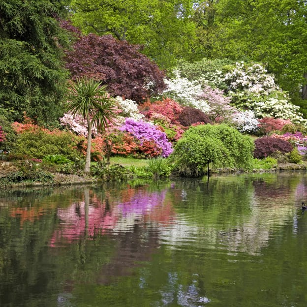 Lyndhurst, Hampshire, South East England, UK