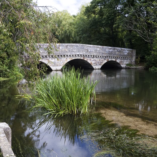 New Forest, Hampshire, UK