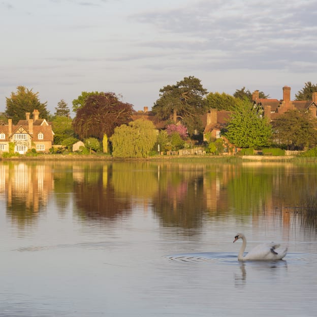 New Forest, Hampshire, UK