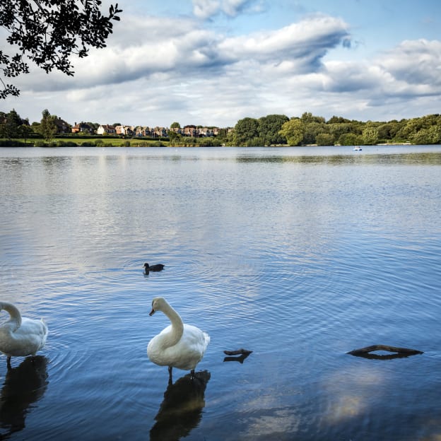 Petersfield, Hampshire, South East England, UK