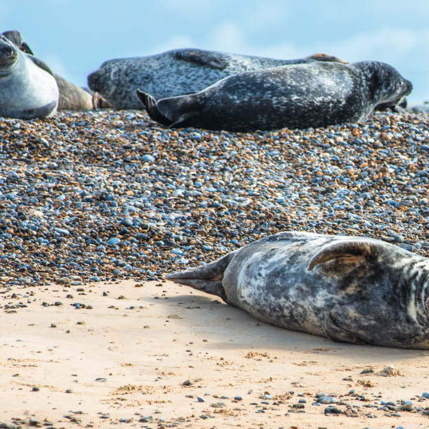 Norfolk, East Anglia, UK