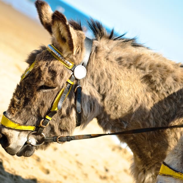 Scarborough, Yorkshire, North England, UK
