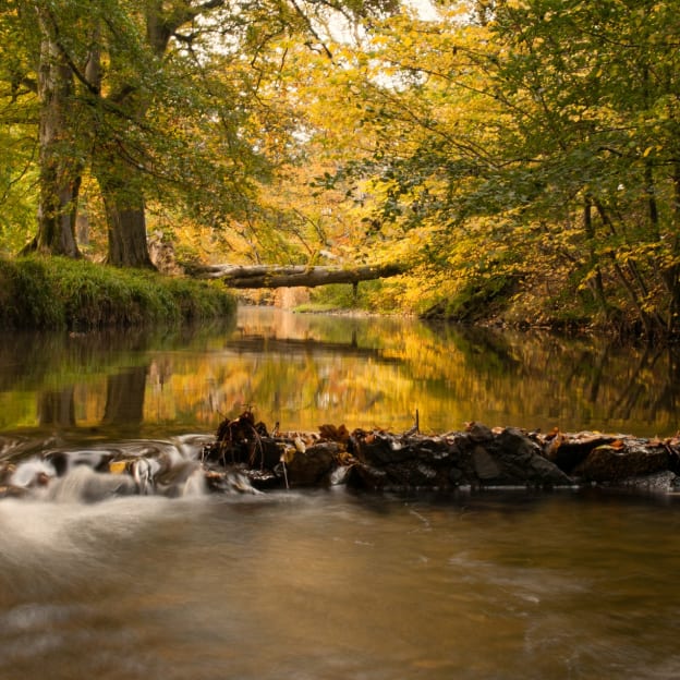 South Lanarkshire, South West Scotland, UK