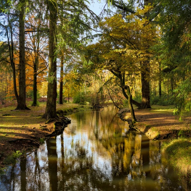 Hampshire, South East England, UK