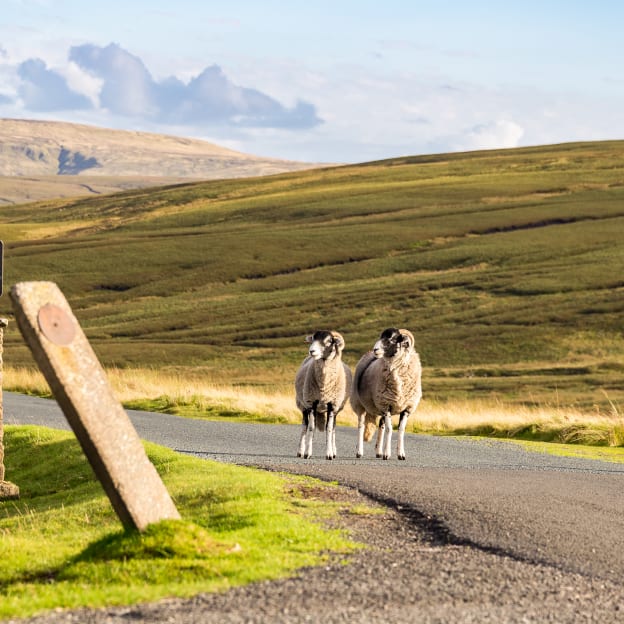 North Yorkshire, UK