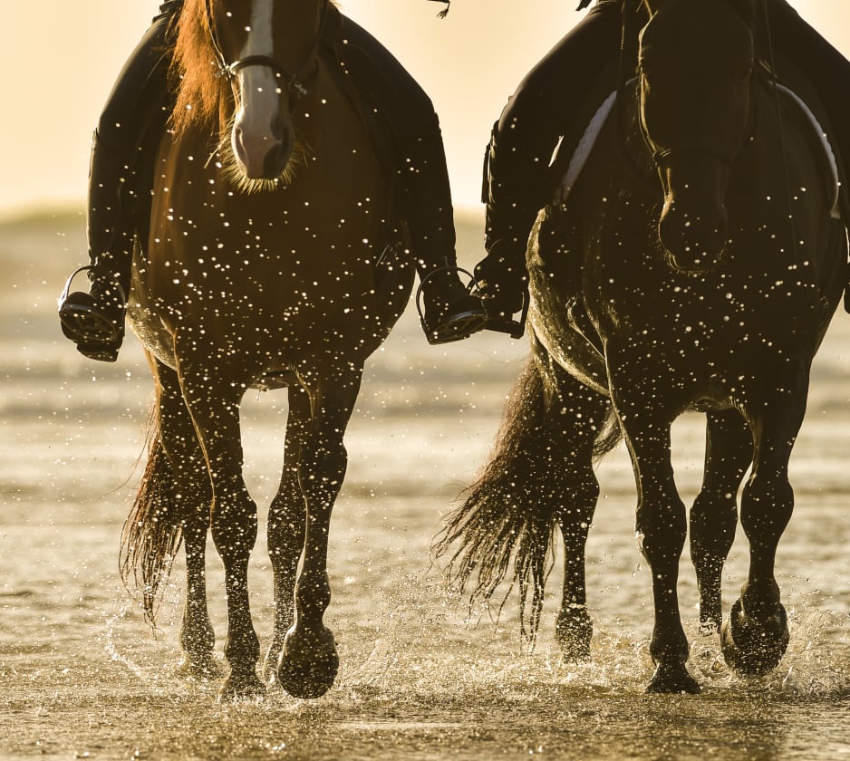 Horse Riding