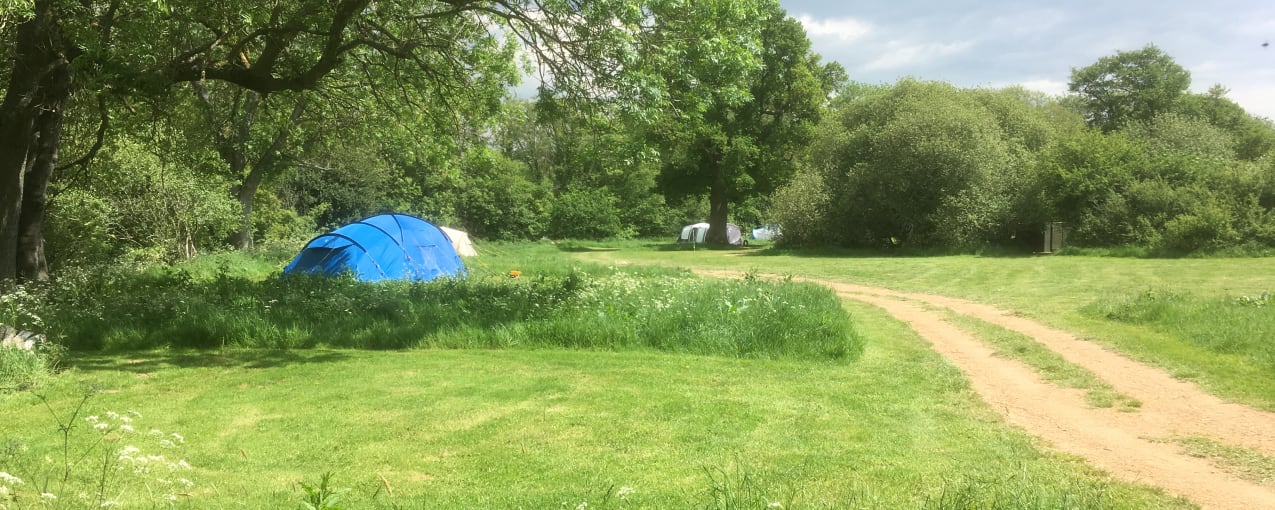 2. Ouse Meadow Campsite, East Sussex 