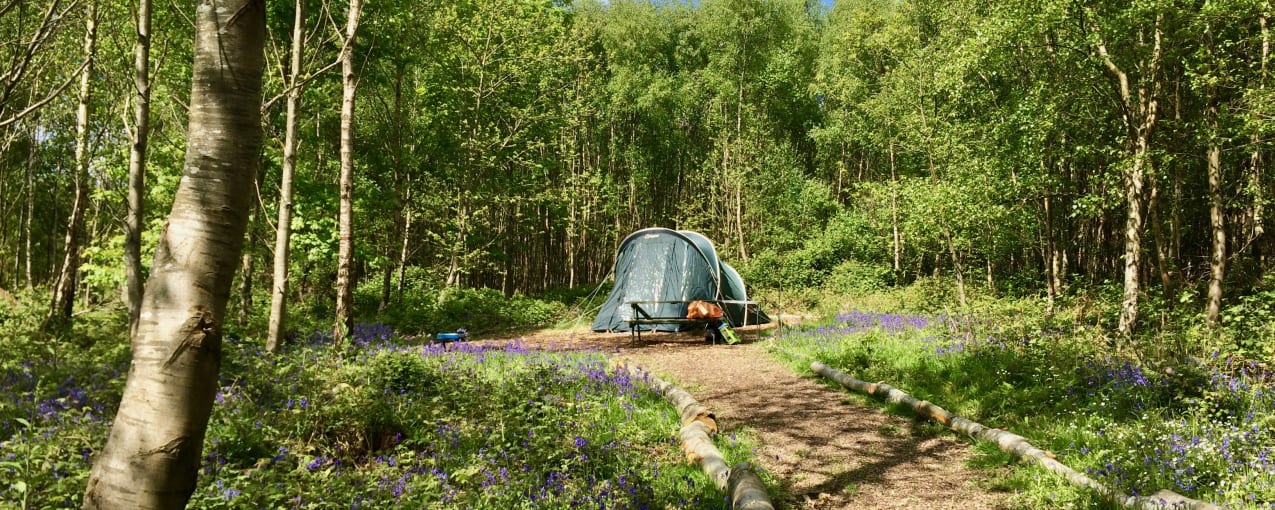 4. Beech Estate Campsite