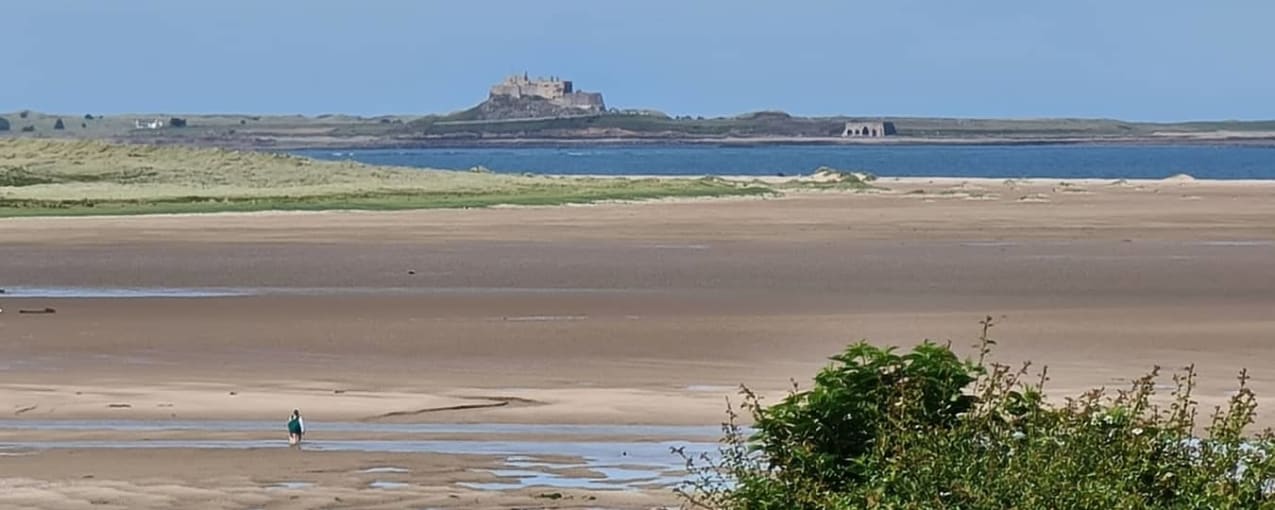 Budle Bay Campsite