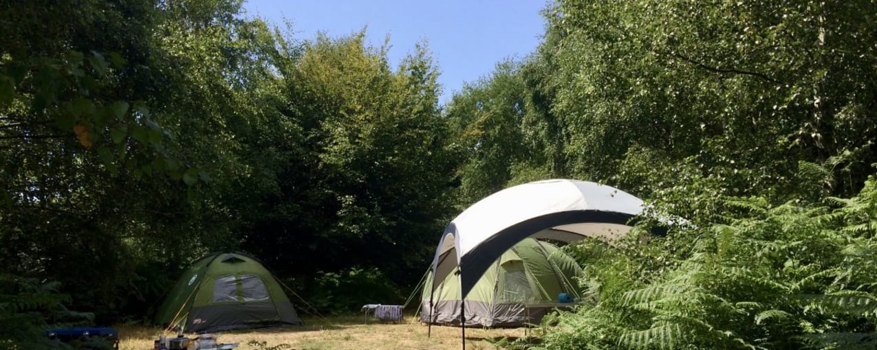 Beech Estate Campsite, East Sussex