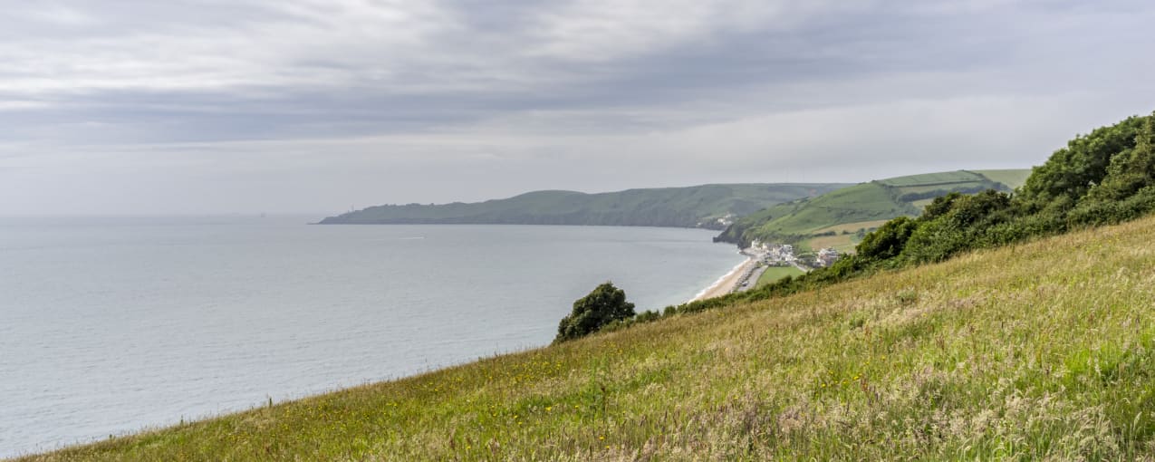 Beryl's Campsite, Devon