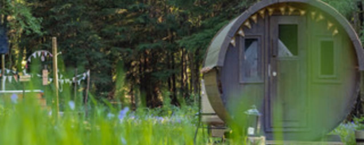 The Enchanted Glade, West Sussex