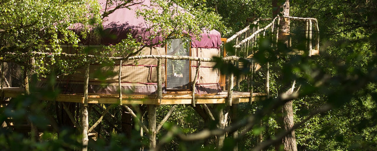 Houlet the Treehouse Yurt, Northumberland