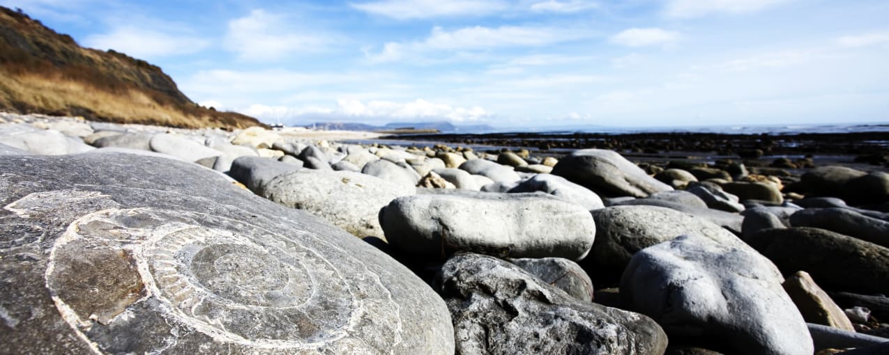 Jurassic Coast, Dorset