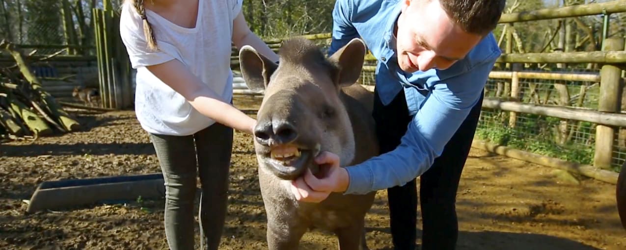 Paradise Wildlife Park, Hertfordshire