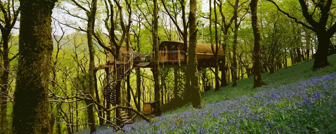 The Tree House