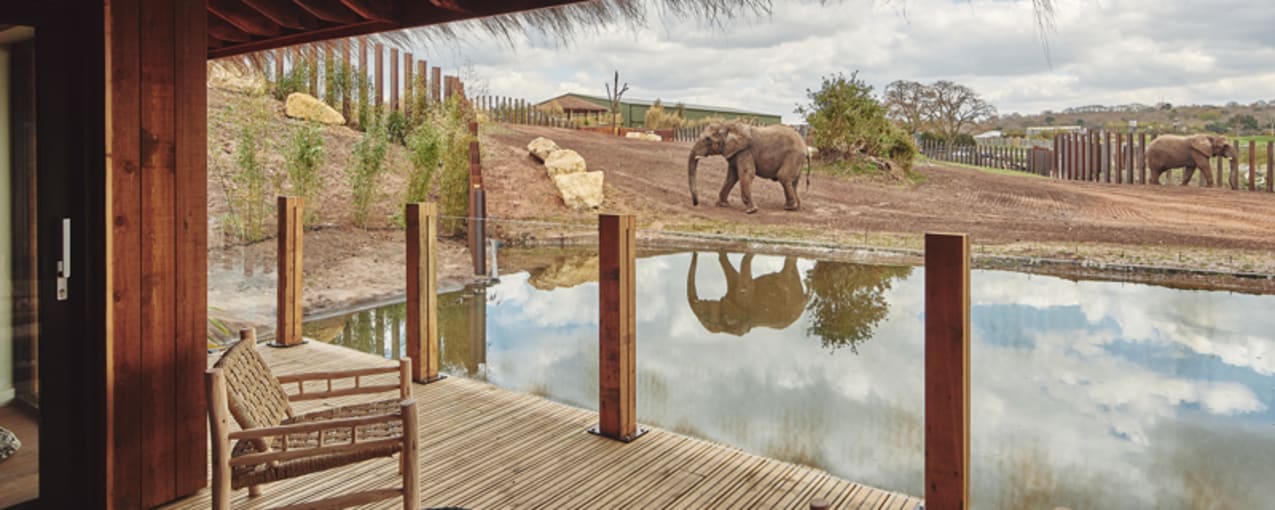 Safari Lodges at West Midlands Safari Park