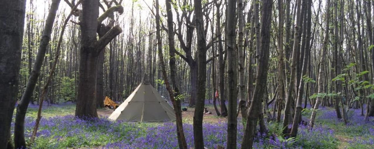 Badgellswood Camping, Kent