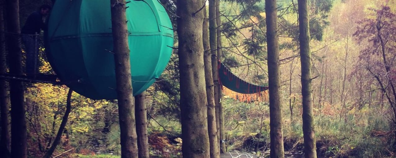 Red Kite Tree Tents, Powys