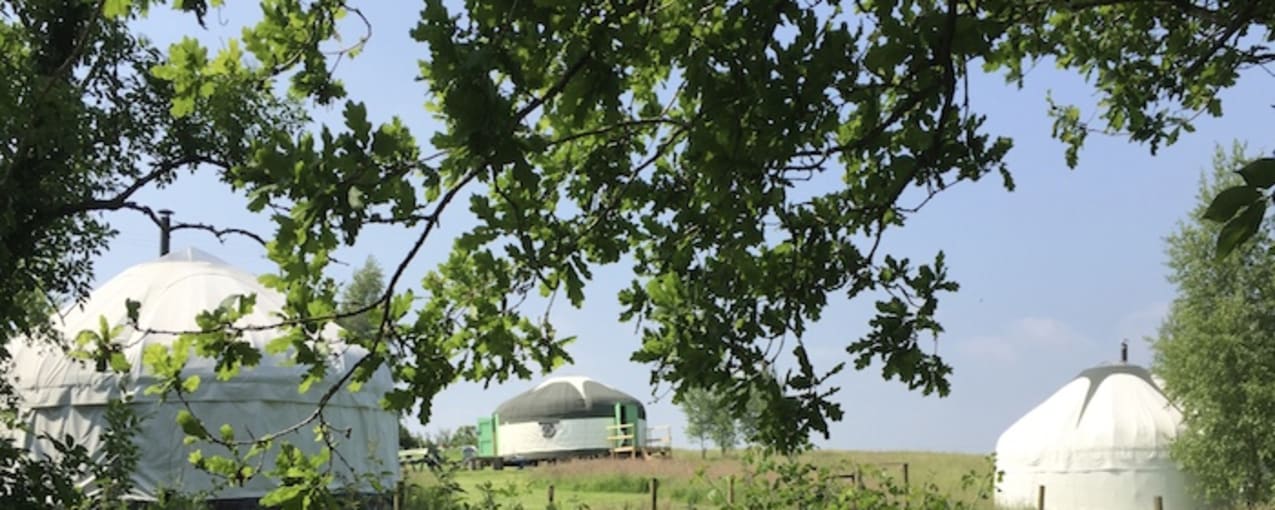 Hunger Hill Yurts - Devon