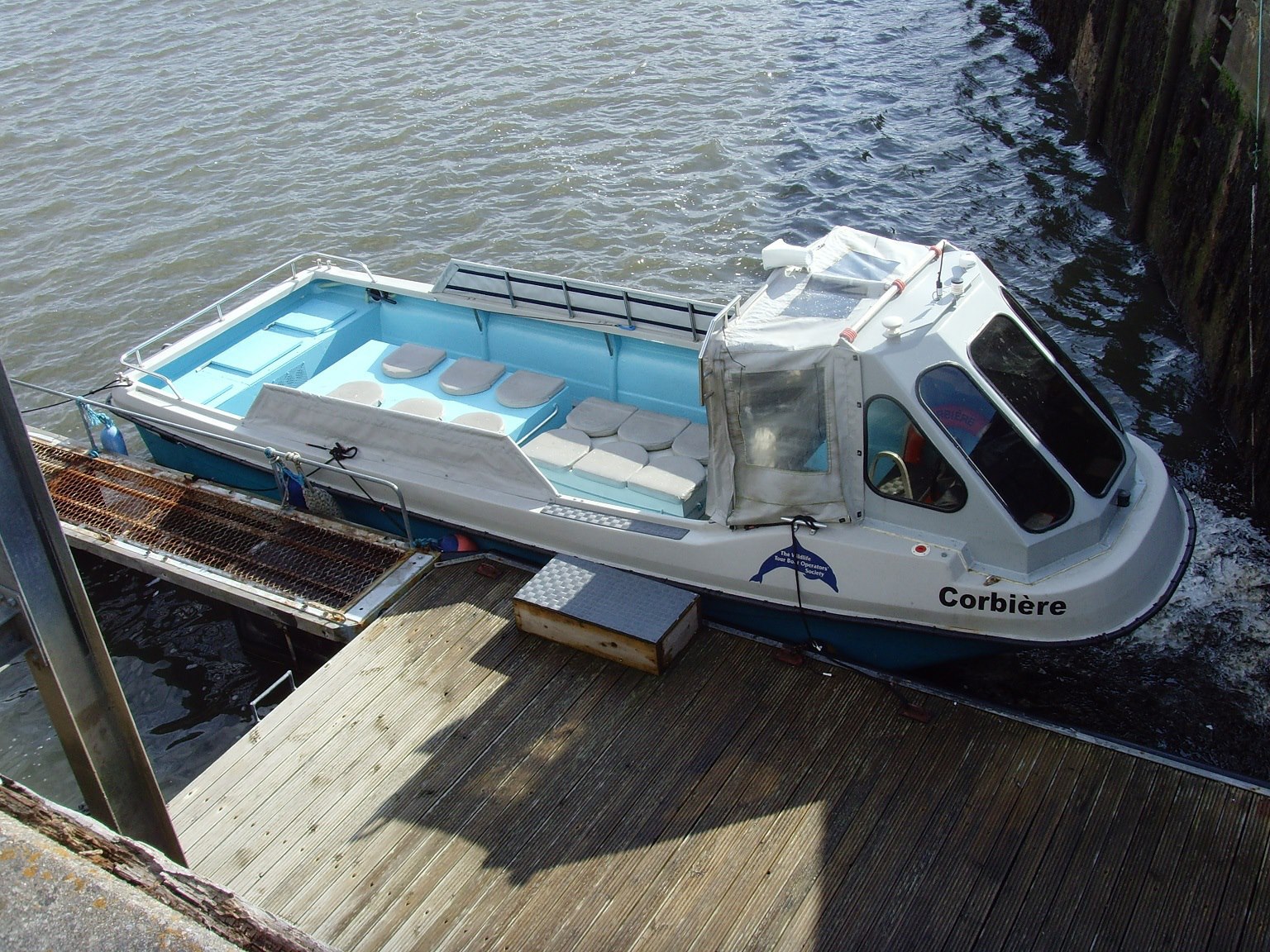 Avoch Dolphin Trips