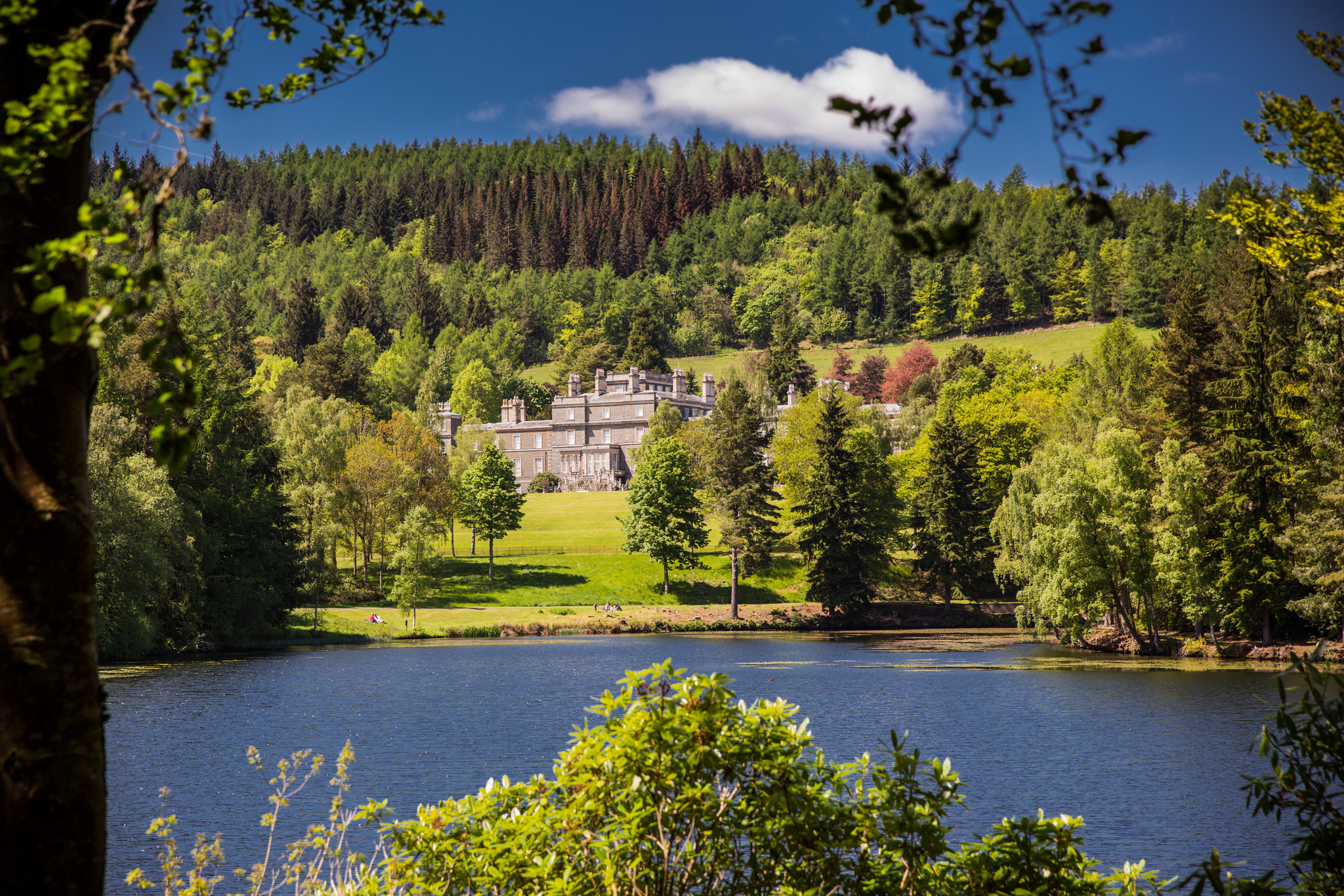 Bowhill House and County Estate