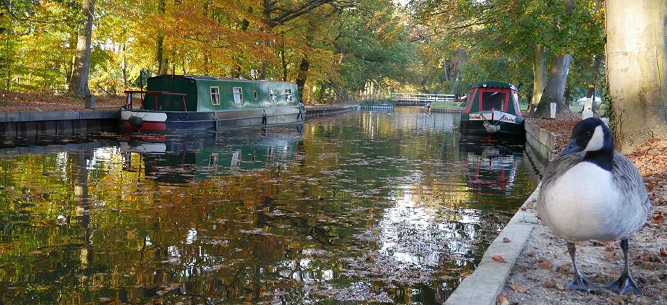 Basingstoke Canal Visitor Centre
