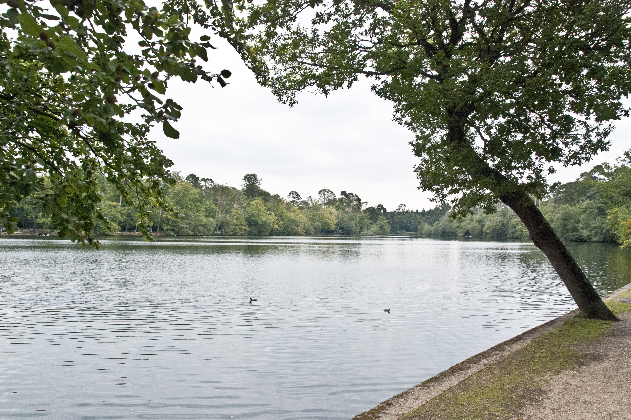 Black Park