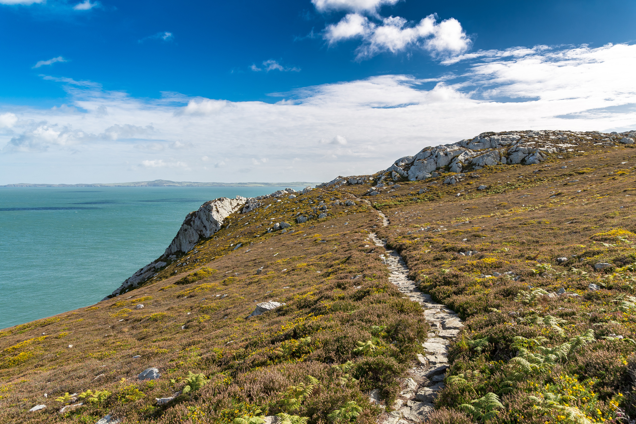 Breakwater Country Park