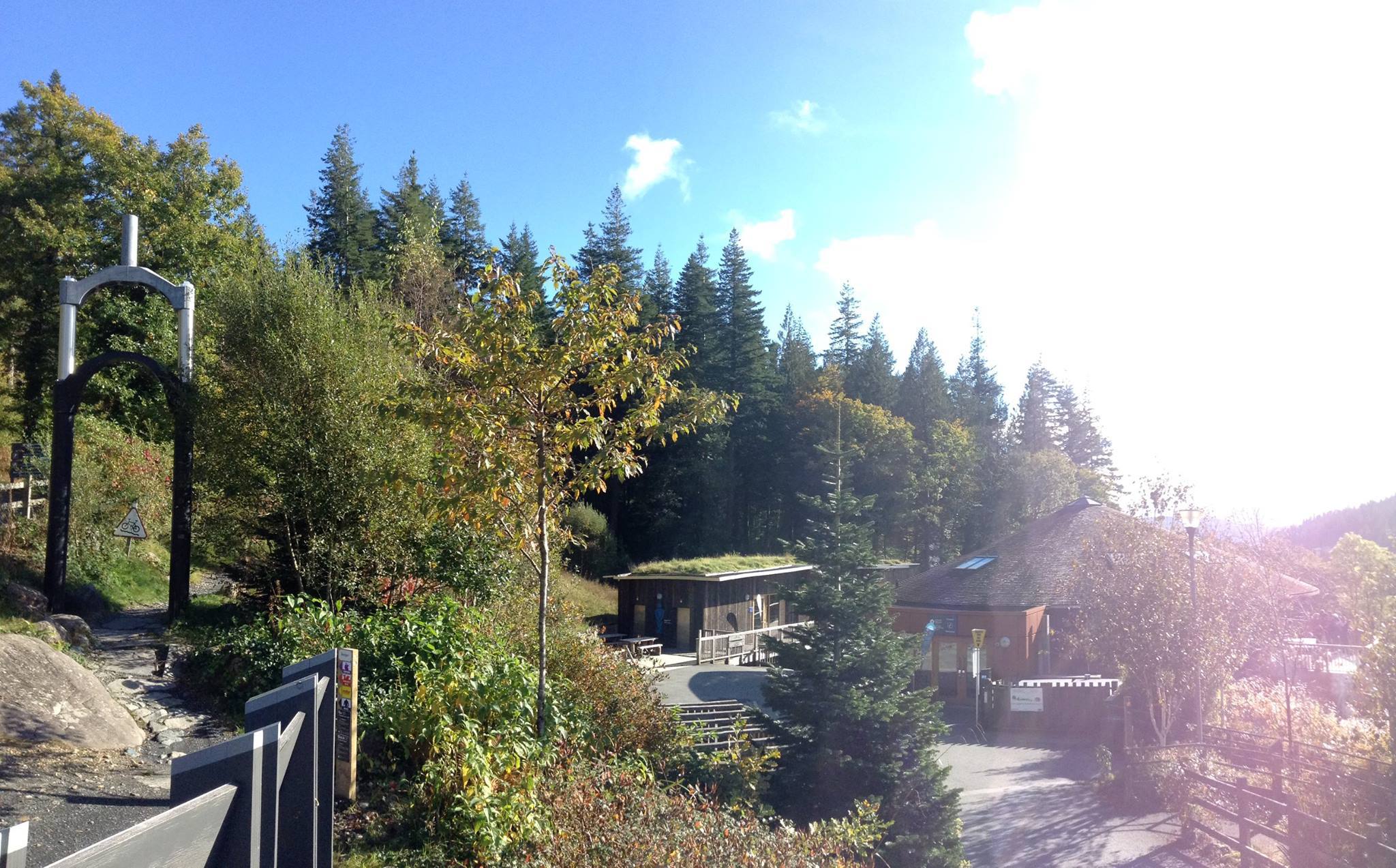 Coed y Brenin Forest Park