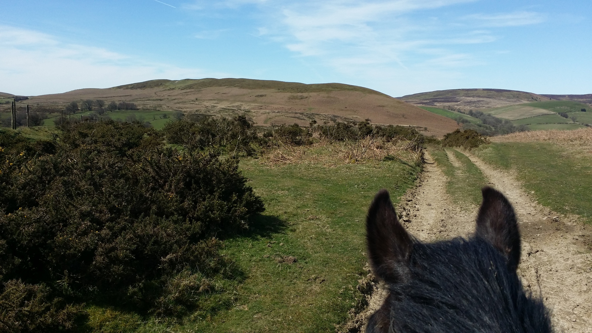 Bryngwyn Riding Centre