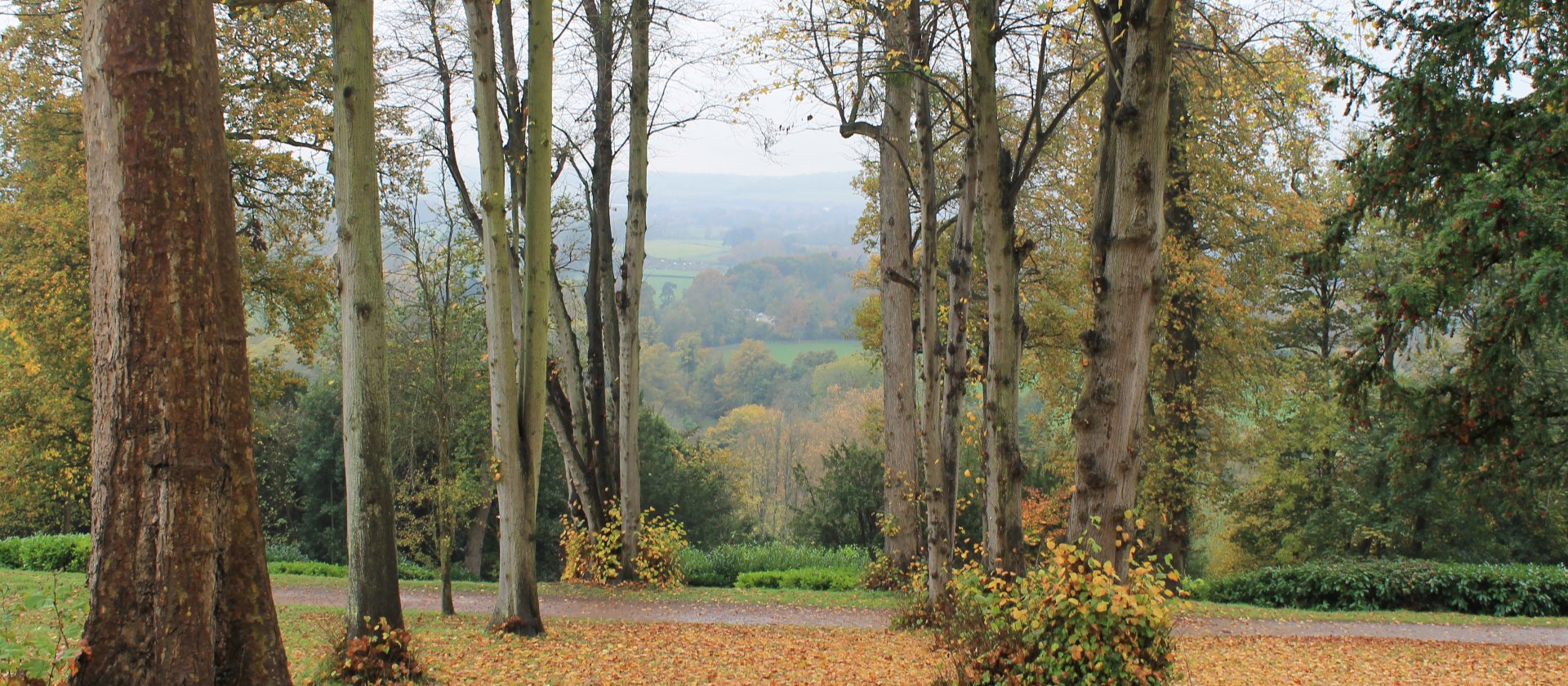 Cliveden Gardens and Maze