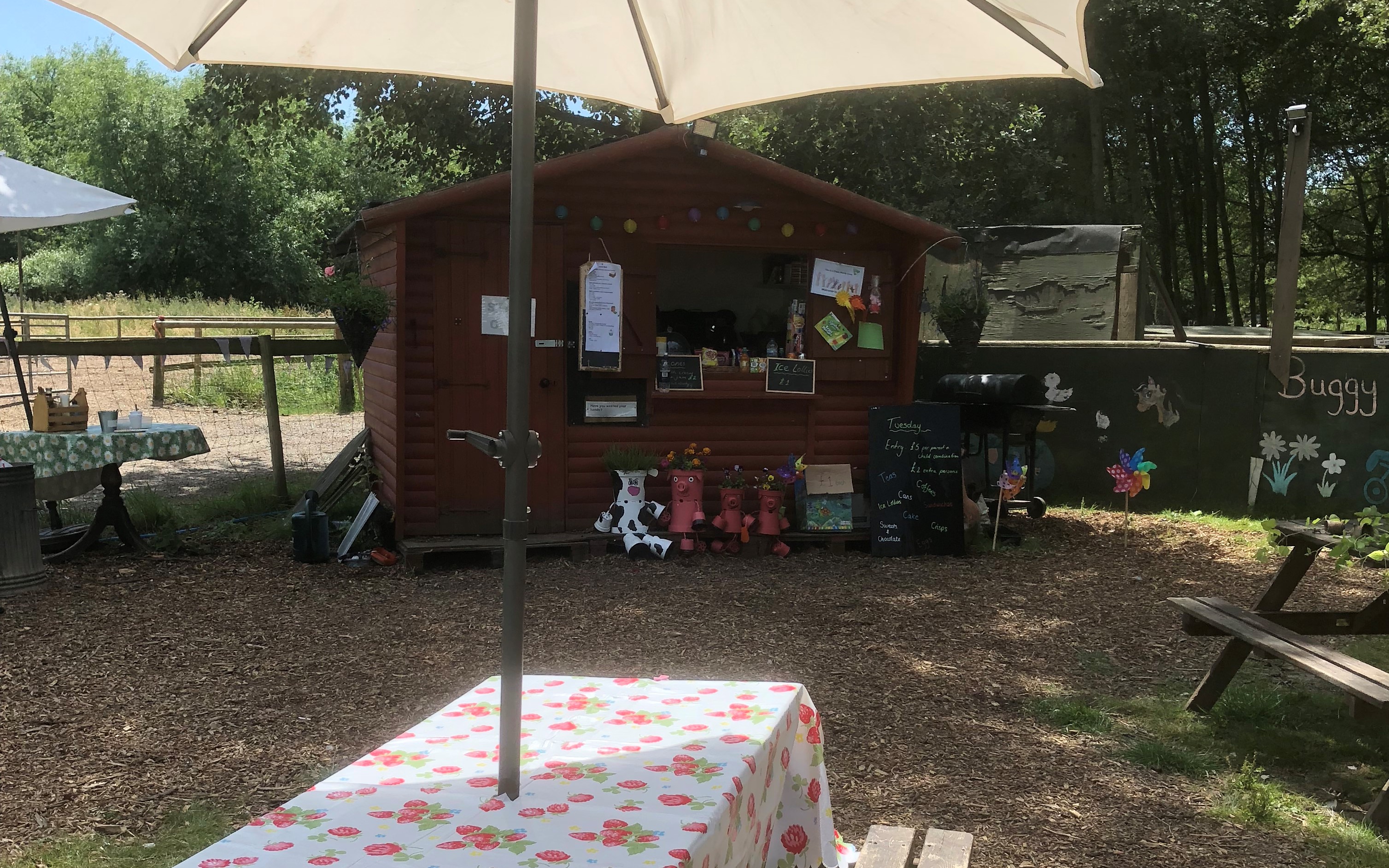 Daisy May's Farm