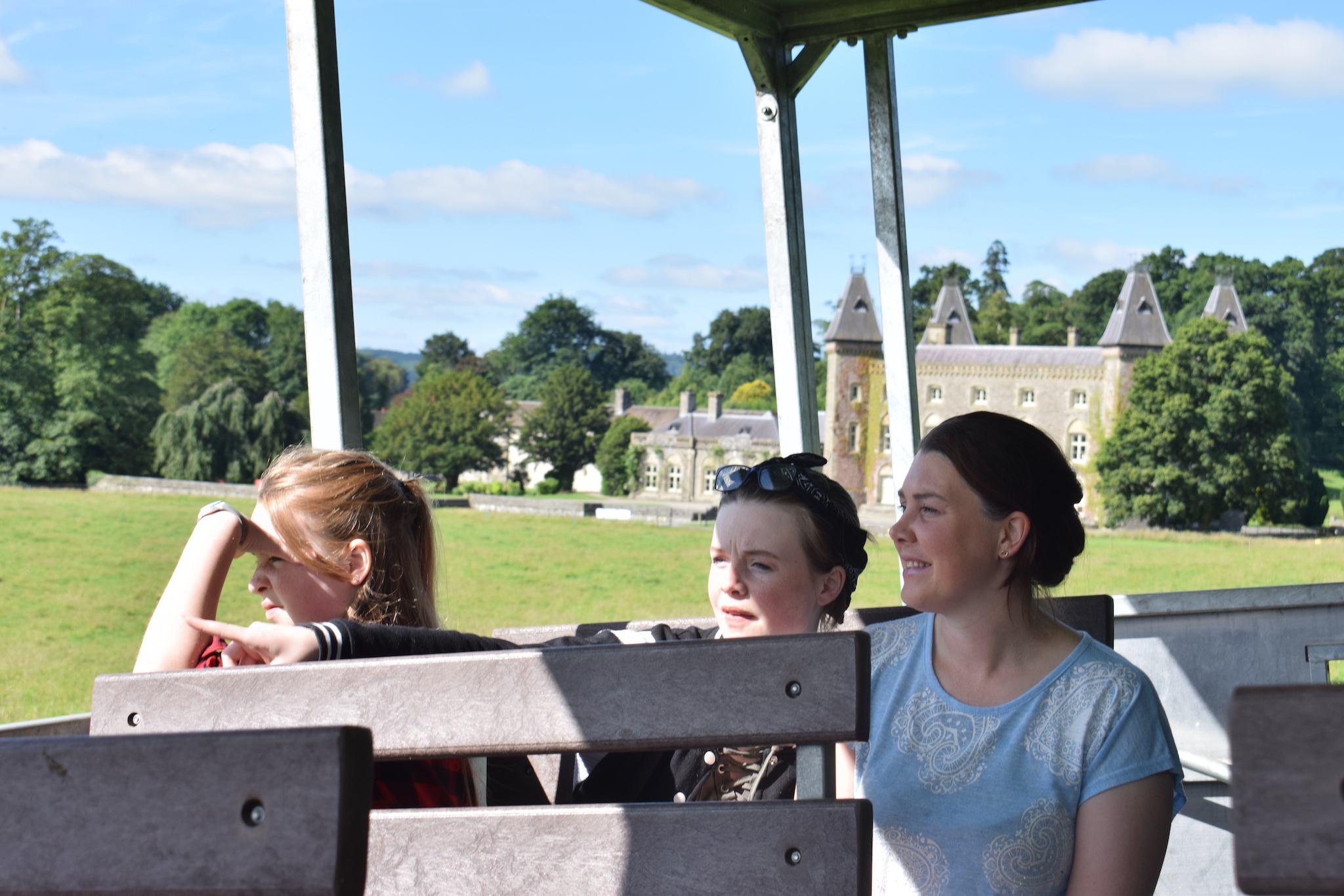 Dinefwr