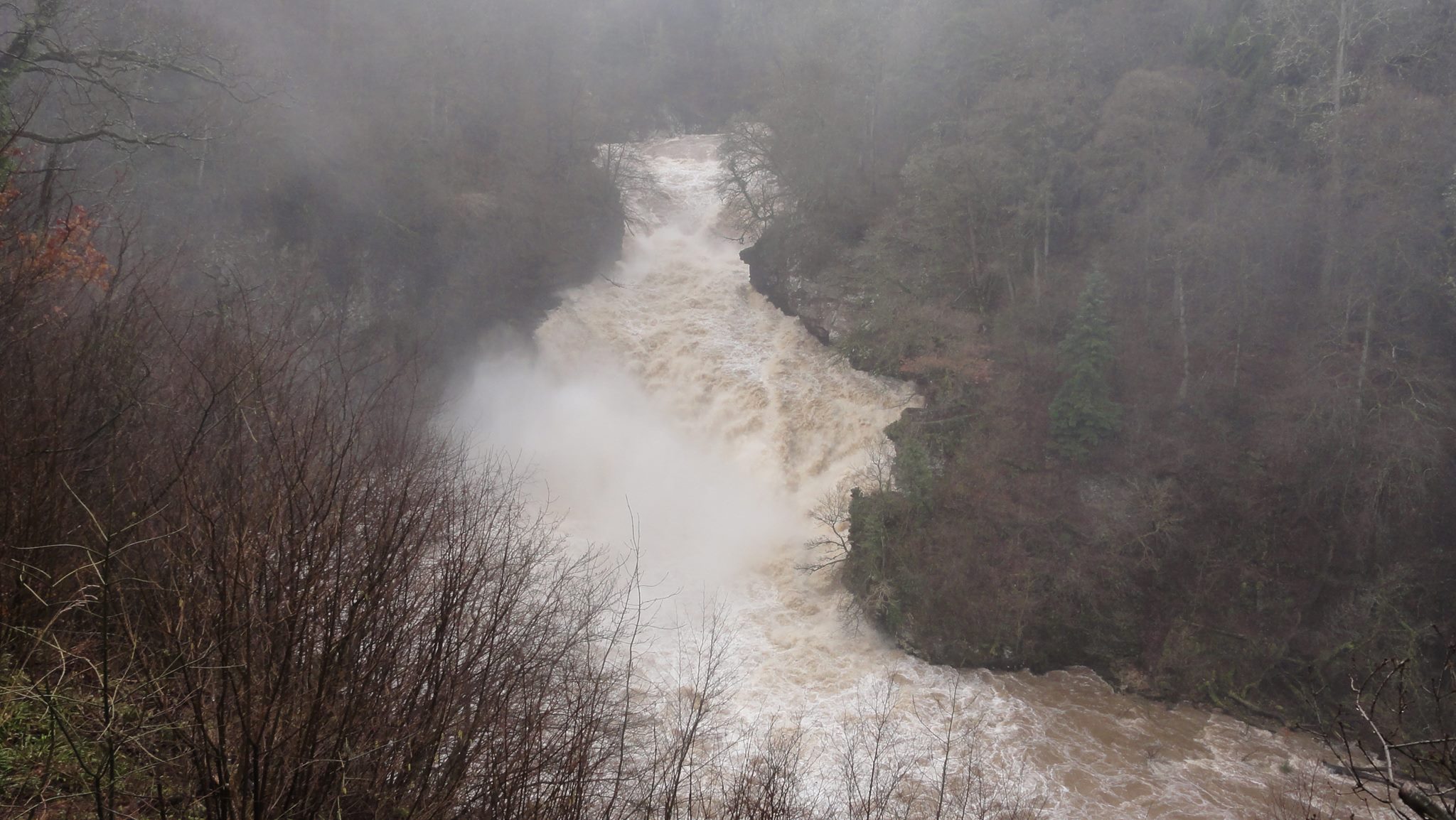 Falls of Clyde Wildlife Reserve