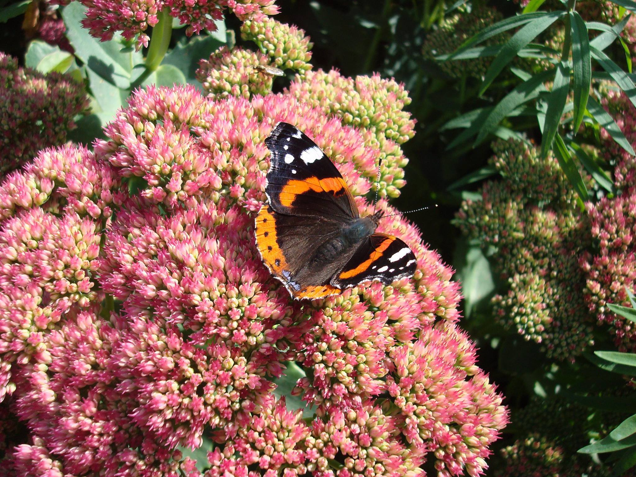 Filey Bird Garden and Animal Park