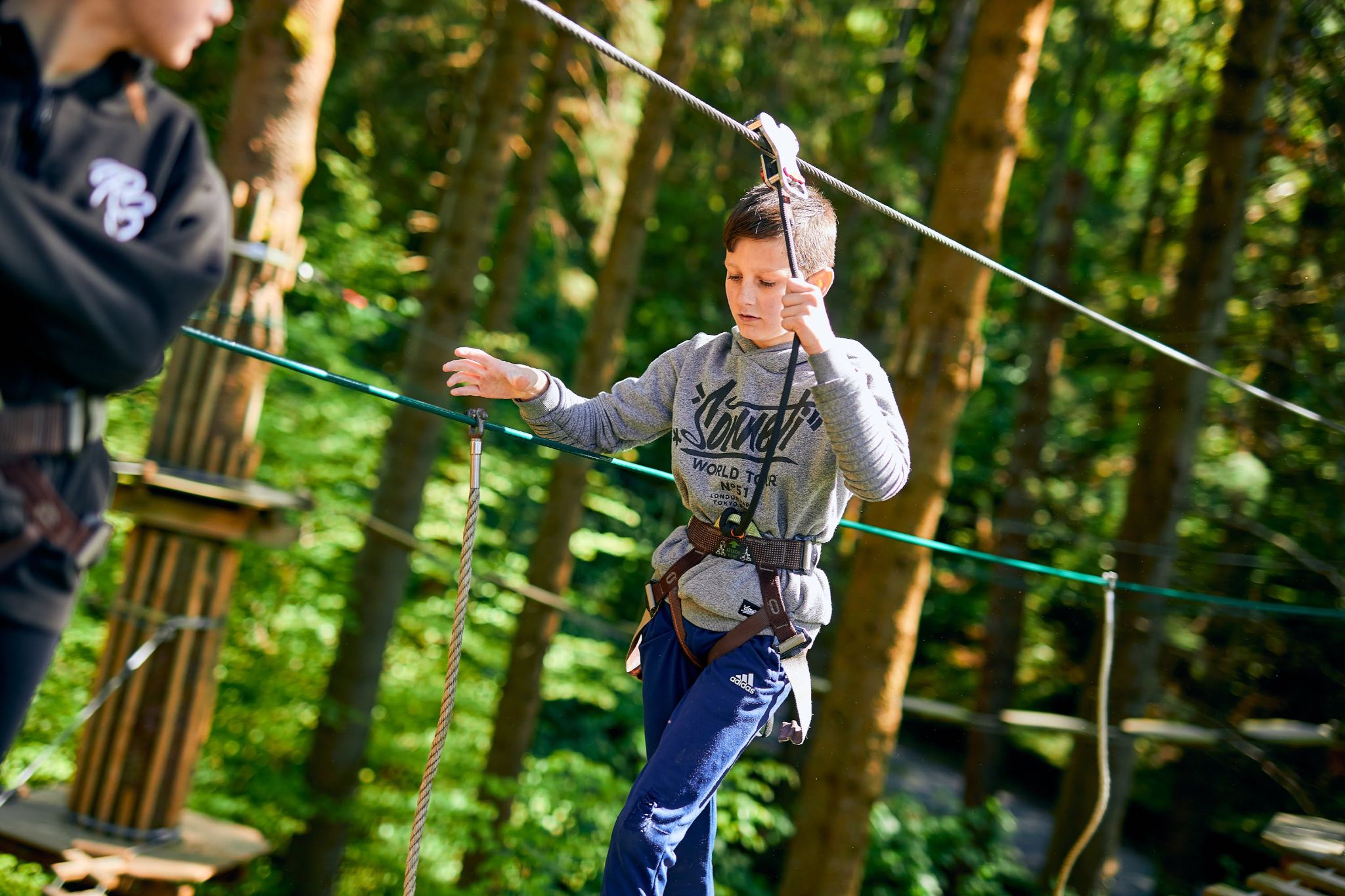 Go Ape Black Park