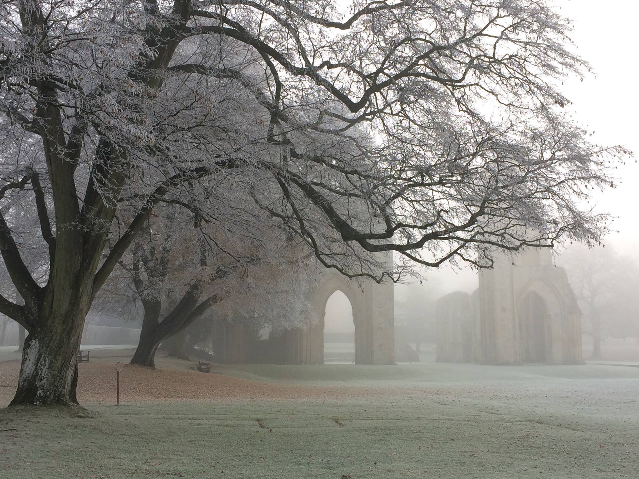 Glastonbury Abbey