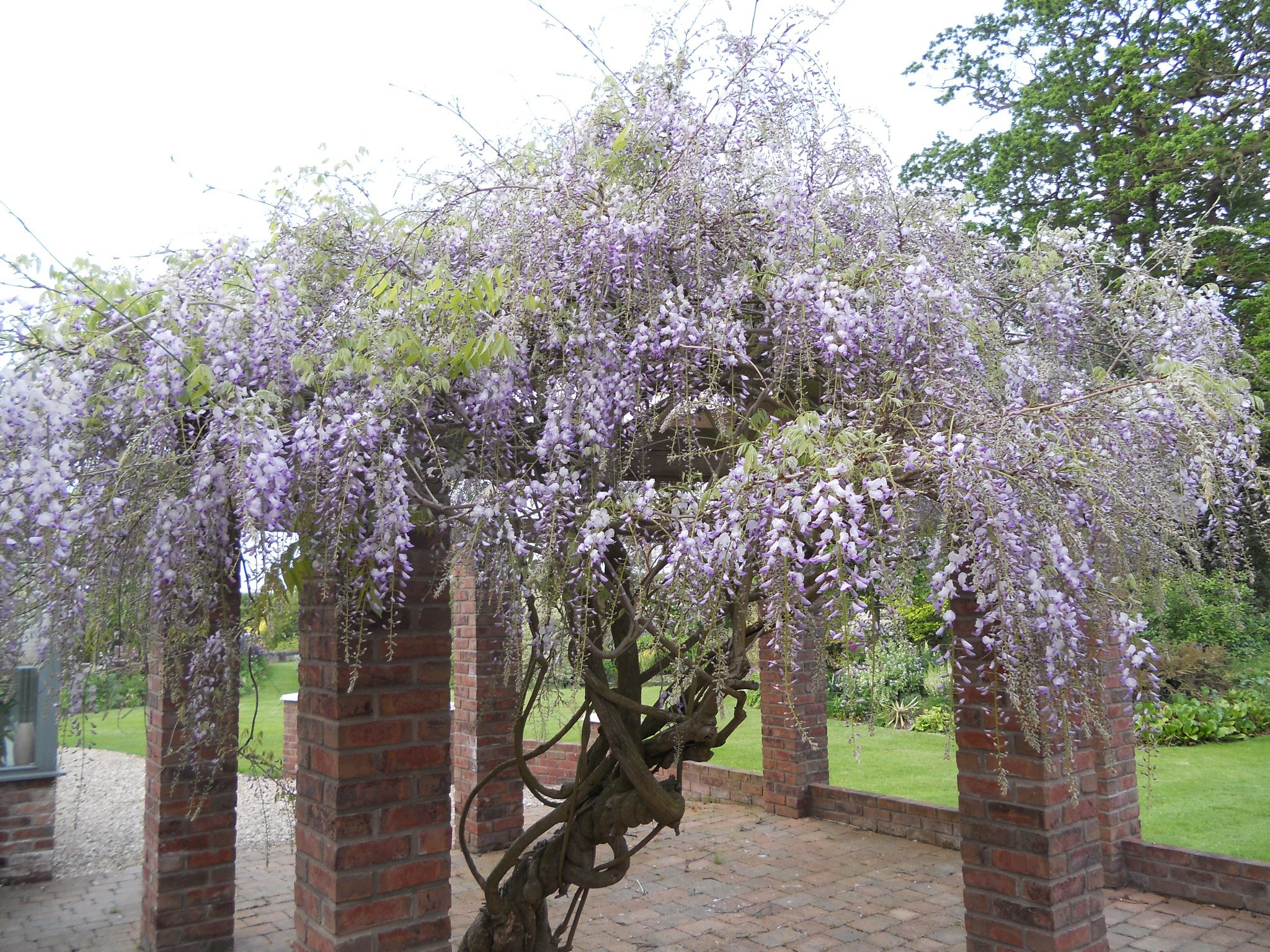 Goltho Gardens