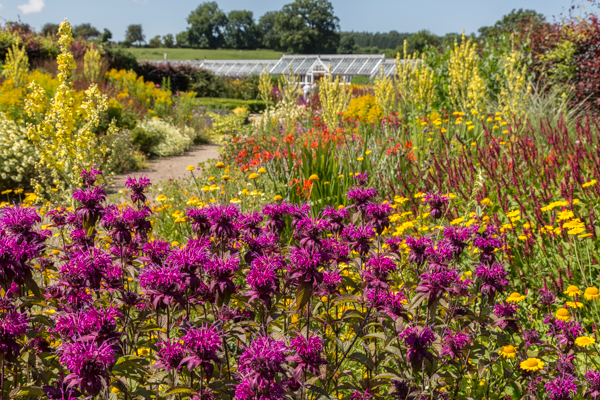 Helmsley Walled Garden