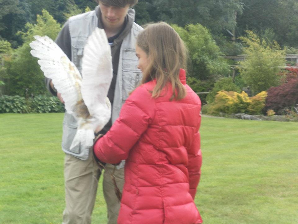 Huxleys Birds of Prey Centre