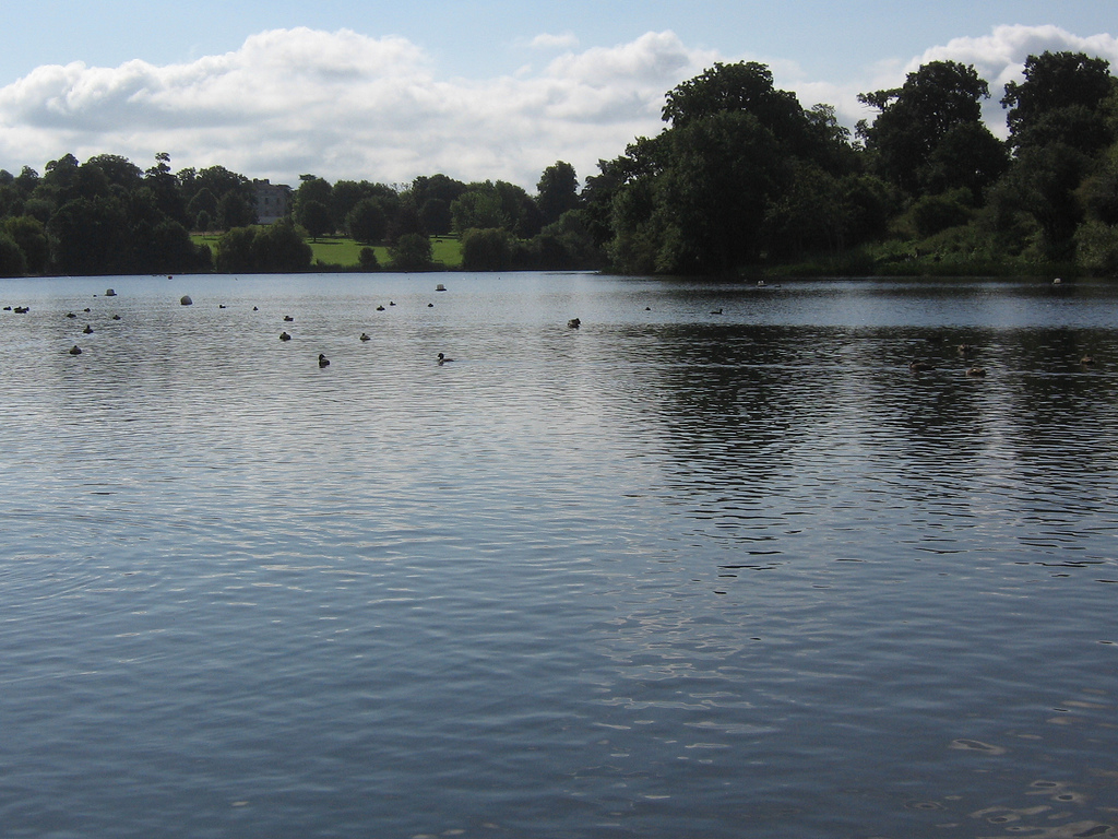 Mote Park