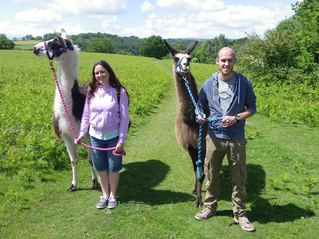 Llama Trekking at Old King Street Farm