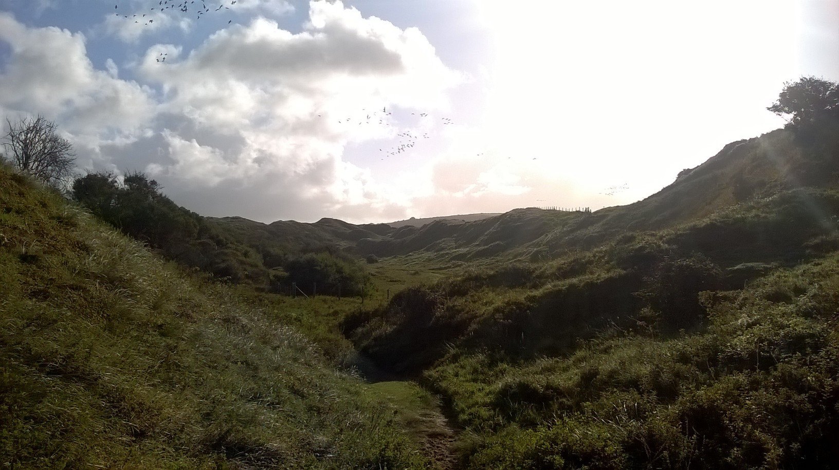 Merthyr Mawr Sand Dunes