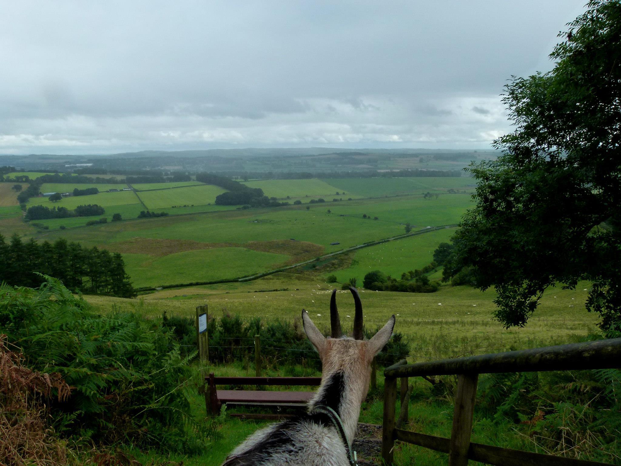 Mossburn Community Farm