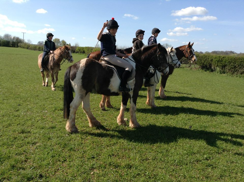 Noakes Farm Riding Centre